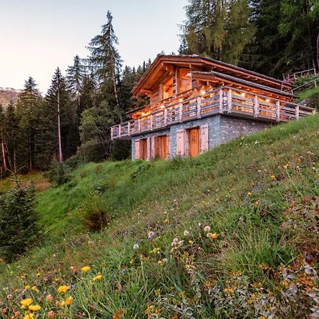 Fabulous Luxury Chalet W. Jacuzzi Sauna Chalet